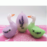 Paaskaarsen Kleurrijke Ganzen set van 3 stuks