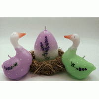 Paaskaarsen Kleurrijke Ganzen set van 3 stuks